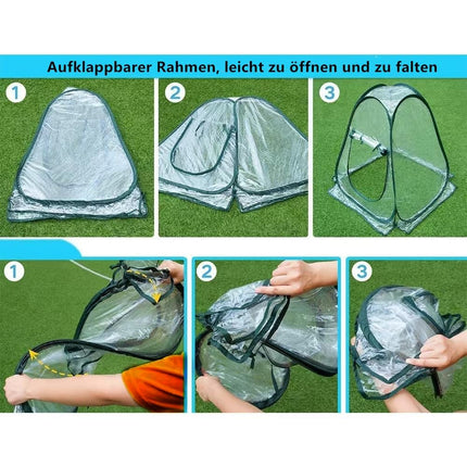 Morricho Pop Up Greenhouse Small Wintering Tent for Plants Frost Protection, Indoor Greenhouse, Mini Greenhouse, Plant Tent for Wintering (70 x 70 x 80 cm)