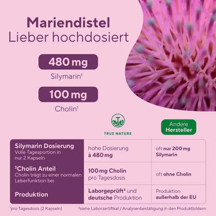 Milk Thistle Artichoke Dandelion Choline – 180 Capsules – 600 mg Milk Thistle Extract (480 mg Silymarin) – Supports the Liver with Choline* – With Herbal Bitters – Vegan – TRUE NATURE®