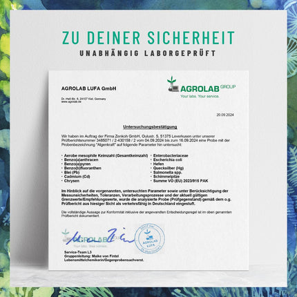 NATURTREU® Algenkraft - Omega 3 Vegan from algae oil – 1000mg Omega 3 algae oil from sustainable cultures – Microalgae oil with a high dose of DHA &amp; EPA in the optimal ratio – Laboratory-tested