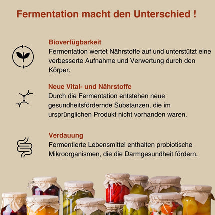 Fermentura® Vitabalance Micronutrient Concentrate 750 ml Original Juice with 127 nutrients, vitamins, minerals, including 46 fermented vital substances | Vegan, 1-month supply