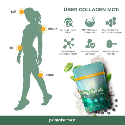 Collagen Powder by Primal Harvest - Bioactive Premium Collagen Complex, Sustainable Grass-Fed, Collagen Hydrolysate, Tasteless, Optimal Solubility (Primal Collagen MCT (1 Pack)