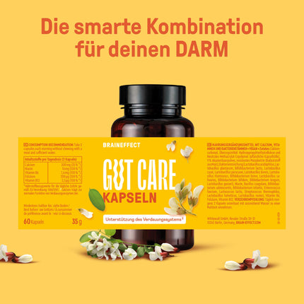 BRAINEFFECT Gut Care - With 20 billion bacterial cultures of Bifidobacterium &amp; Lactobacillius, Calcium, Vitamin B6 &amp; B12 - 60 Capsules
