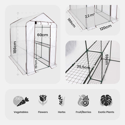 Arebos Premium film greenhouse with 2 levels - 120 x 186 x 190 cm greenhouse with shelves - space-saving, high-quality greenhouse for gardens and balconies, stable and easy to assemble