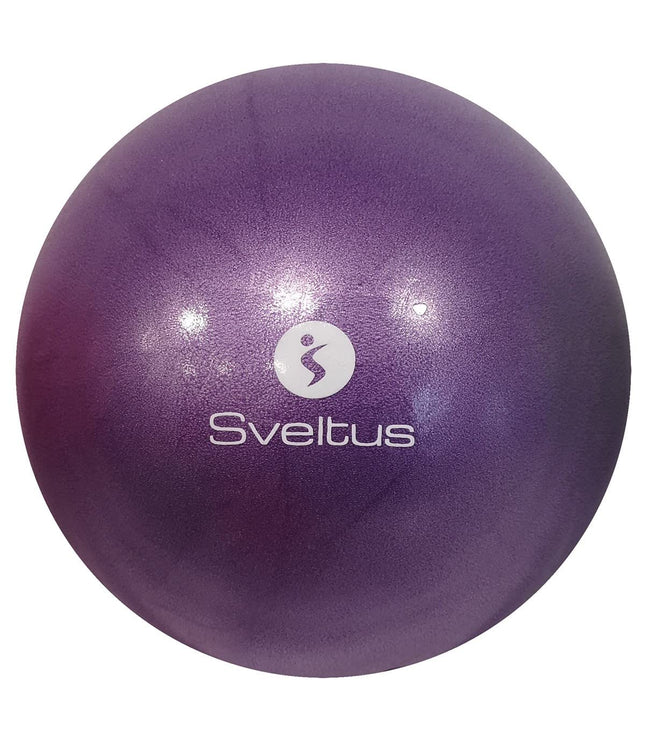 Sveltus Educational Ball, purple, 25 cm