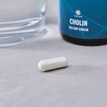 edubily nutrition® Choline - 500mg CDP-Choline from Cognizin® per capsule - high bioavailability - 60 capsules in amber glass
