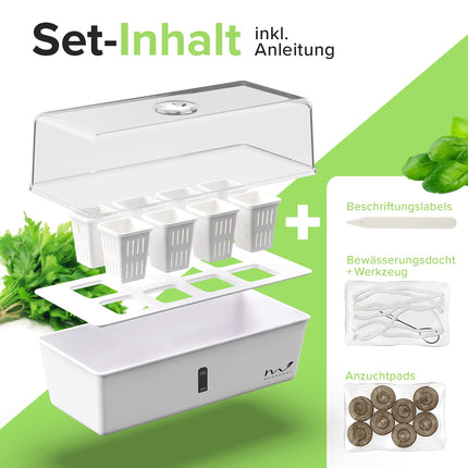 MUNROOMY Mini Greenhouse - Indoor Greenhouse with Self-Watering System - Propagator for Cuttings - Growing Kit for the Windowsill &amp; Indoor Herb Garden