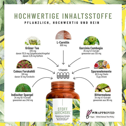 Metabolism Capsules Diet Support - High Dose with Green Tea, Forskohlii, Choline, Asparagus, Bitter Melon, Garcinia Cambogia &amp; Chromium - 120 Metabolism Capsules vegan by NATURTREU®