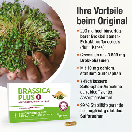 Broccoli Sprout Extract Capsules | Highest Dosage | 280,000 mg Broccoli | 99% Stabilized Sulforaphane | 3,600 mg Broccoli Sprouts per Capsule | 60% More Bioavailable | Brassica PLUS