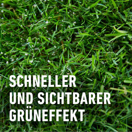 COMPO lawn fertilizer with 3 months of long-term effect for spring and summer - animal-friendly - premium lawn long-term fertilizer - 20 kg for 800 m²