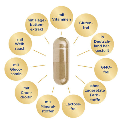 GelenkGold Joint Capsules 90 Capsules High Dosage, Dietary Supplement for Joints¹ Cartilage² and Tendons³ with Chondroitin Glucosamine and Frankincense