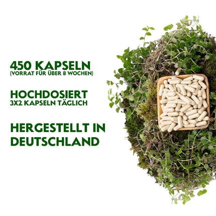 RheinNatur Organic Psyllium Husk Capsules - 450 high-dose capsules (3,000 mg per serving) - Made in Germany - Psyllium Husk Fiber - Psyllium Capsules - Supports Digestion