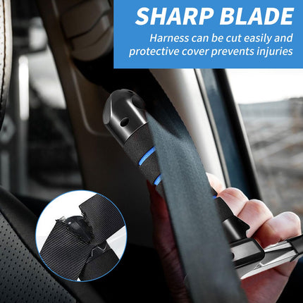 QINGYIWL 2 Pack Car Entry Aid, Car Door Handle for Elderly People, Standing Aid for Seniors, Car Exit Aid for Seniors, Disabled and Injured (Blue)