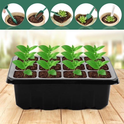 NVIYAM 5 Pack Mini Greenhouse Propagator, 60 Cells Grow Kit with Light, Indoor Greenhouse with High Lid, Propagator for Plants, Small Grow Box