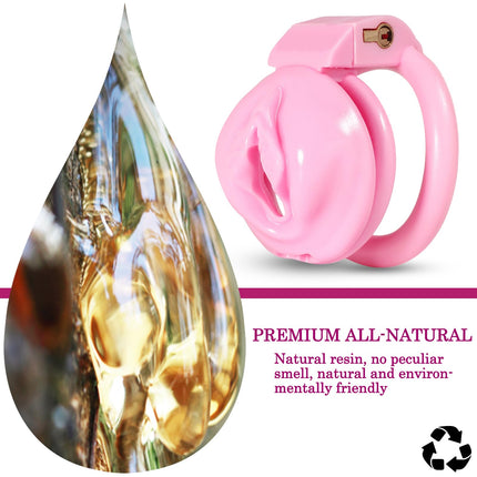 BDSMLOVE Penis Cage with Labia, Flat Chastity Cage Male Small, Chastity Cage for Men, Sex Toy Set for Men, Chastity Belt for Men, Penis Cage with 4 Cock Rings Extreme (M)