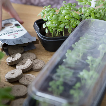 Biolan Indoor Propagator – Mini Grow Kit for 12 Seeds with 36 Peat-Free Growing Tablets, Durable Material, Transparent Cover, and Ventilation Design. Reusable. Perfect for Beginners