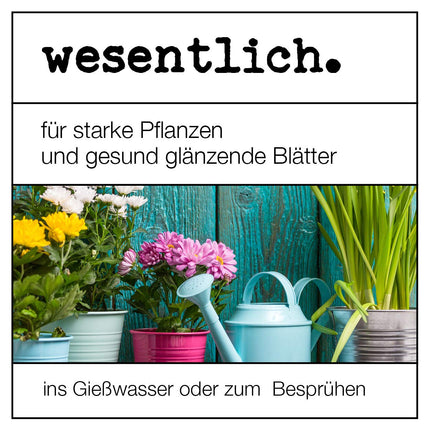 essential. Neem oil with emulsifier 1000ml - ready-mixed for home and garden - high yield for 100l spray