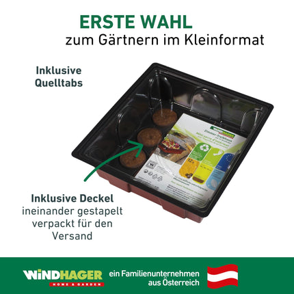 Windhager indoor greenhouse including 12 seedling tablets, mini greenhouse, terracotta/anthracite, 19.5 x 19 x 11 cm