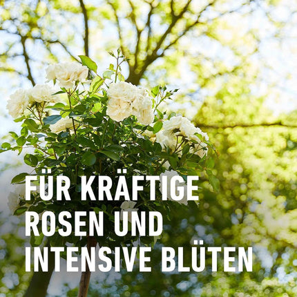 Compo Rose Fertilizer Liquid 1 l