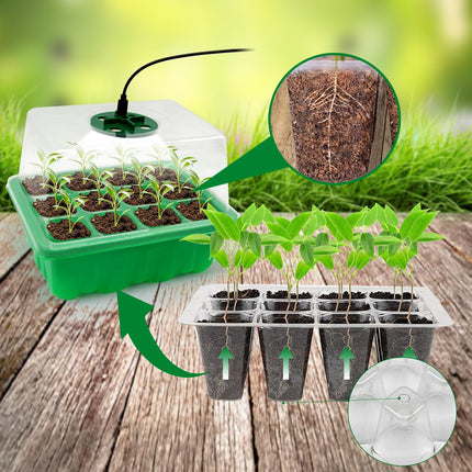 Horuili 5 Pack Indoor Greenhouse Propagator, Mini Greenhouse Propagation Set with Light, Seedling Propagator with 2 Tools and 10 Labels, for Greenhouse, Gardening