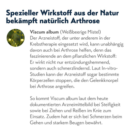 RubaXX Arthro - Natural medicine specifically for osteoarthritis - knee osteoarthritis, hip osteoarthritis, finger joint osteoarthritis, wrist osteoarthritis 50 ml