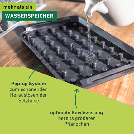 Windhager RootXtender Root Trainer, Indoor Greenhouse for 40 Plants, Root School Seed Tray, Root Trainer Seed Box for Best Root Formation