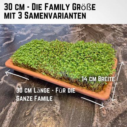 Green Mageo Family 31cm Cress Grow Kit - Growing Tray with Maxi Pack of Cress, Alfalfa and Arugula Seeds, Jute Grow Mats, Ideal as a Microgreens Grow Kit