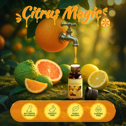 SALUBRITO Citrus Essential Oils Set, Pure Natural Citrus Fragrance Oils for Diffusers - Sweet Orange, Bergamot, Grapefruit, Lemon, Mandarin, Lime Aromatherapy Oil
