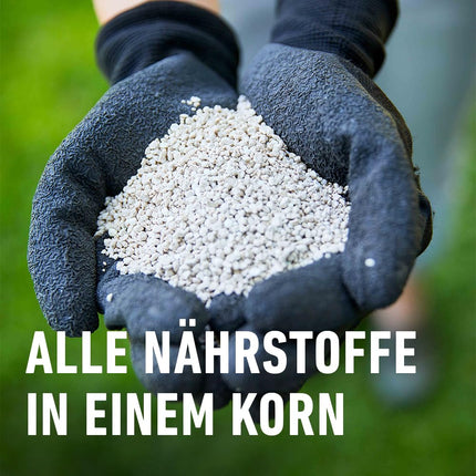 COMPO lawn fertilizer with 3 months of long-term effect for spring and summer - animal-friendly - premium lawn long-term fertilizer - 20 kg for 800 m²