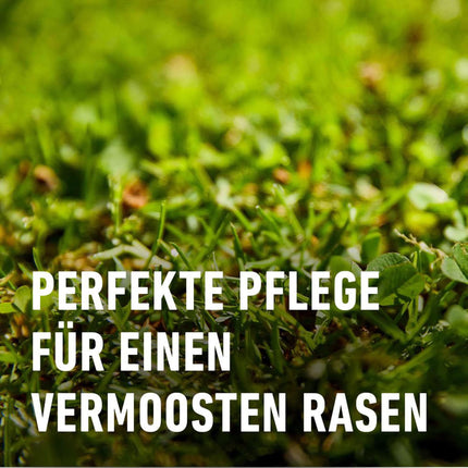 Compo Lawn Fertilizer Moss - No Thanks! 7.5 kg