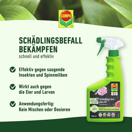 COMPO Pest-free plus AF - Spray against aphids, scale insects, mealybugs, box tree moths, etc. - for ornamental plants and pome fruits - 500 ml - ready-to-use insecticide