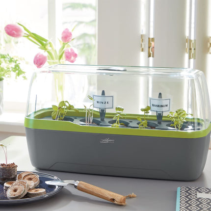 Romberg BoQube L Plus (planting system, color anthracite-summer green, PAH-free, food-safe, with ventilation) 16294169