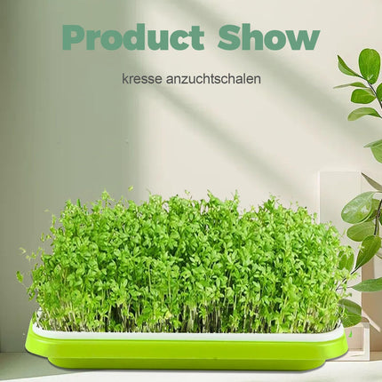 T TAKONE Set of 2 cress growing trays, 32 cm, large sprouting trays. Ideal sprouting box for sprouting seeds. Growing starter set for sprouts, microgreens, and watercress.