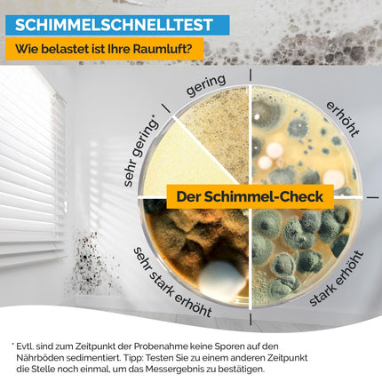 Mold test for home - Mold test for up to 6 rooms - Mold rapid test to assess air quality with regard to mold contamination in indoor spaces