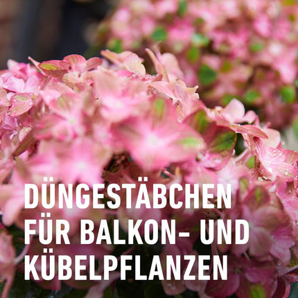 Compo Balcony and Pot Plant Fertilizer Sticks with Guano