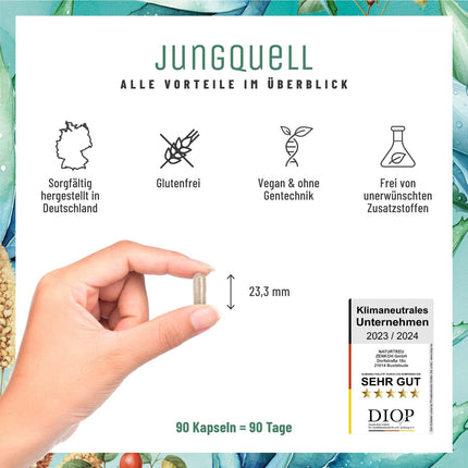NATURTREU® Hyaluron Capsules with 500 mg of high-dose hyaluronic acid with aloe vera, biotin &amp; vitamin C - 90 Capsules for skin* and joints** - Natural and vegan