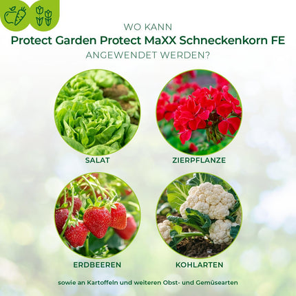 PROTECT GARDEN Protect MaXX Slug Pellets FE, rainproof, reliable slug control on vegetables, fruit, and ornamental plants, 1.2 kg folding box for up to 315 m²