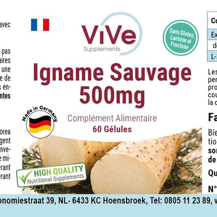 Wild Yam Extract 500 mg - 60 Capsules Wild Yam with 20% Diosgenin - High Dose and Vegan - Dioscorea villosa | Quality from Germany by ViVe Supplements
