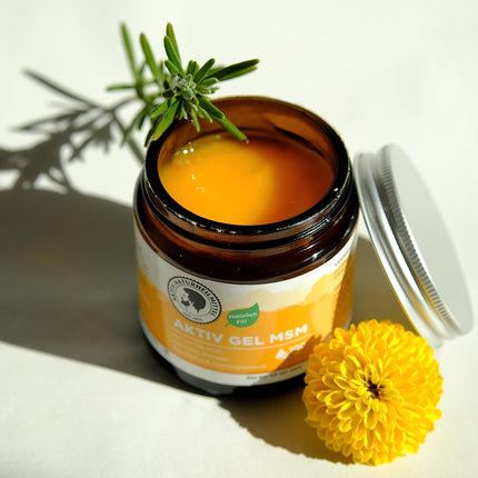 Active Natural Remedies ActiveGel MSM Cream/Ointment 100ml with 15% MSM &amp; Warming Effect | 99.9% Purity, High Quality, Made in Germany
