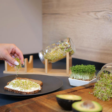 TAHLBERG sprouting jar set of 2 – high-quality sprouting jar made of bamboo + cress sieve &amp; sprouting tray – including lid, cover &amp; instructions – sprouting jar for sprouts