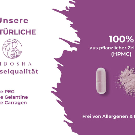 QIDOSHA® Premium OPC Grape Seed Extract High Dose I TEST WINNER 08/2023* I 240 Capsules in a Jar I Grape Seed Extract Capsules High Dose with 60% Pure OPC I Vegan