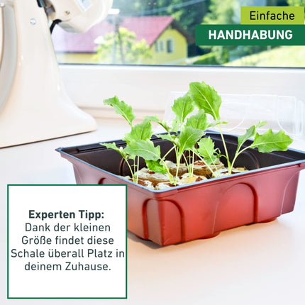 Windhager indoor greenhouse including 12 seedling tablets, mini greenhouse, terracotta/anthracite, 19.5 x 19 x 11 cm