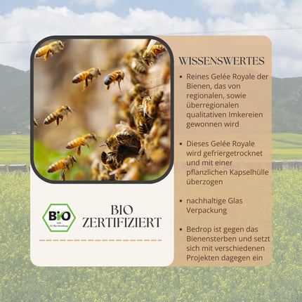 bedrop Royal Jelly Capsules Organic Quality 60 Capsules - 1 capsule = 980 mg pure Royal Jelly, 10-HDA content &lt;4.8% - Royal Jelly rich in polyphenols &amp; flavonoids