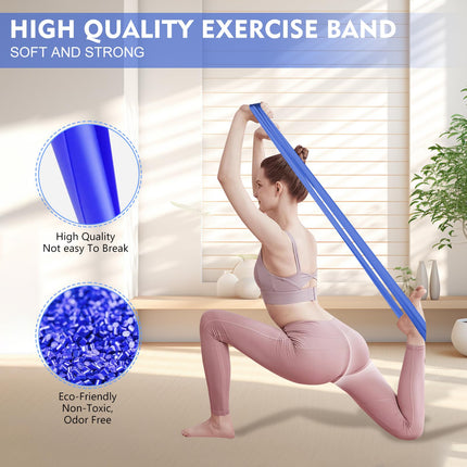 Fokky 1.8M Fitness Bands, Set of 4 Resistance Bands Exercise Bands, Resistance Bands with Carrying Bag &amp; Exercise Instructions, Fitness Band for Pilates Yoga Fitness Muscle Building