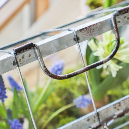 Esschert Design greenhouse with lockable lid, plant house size S, 29.3 x 15.4 x 26.4 cm, iron/glass with carrying handle, stable feet