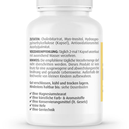 ZeinPharma Choline-Inositol Capsules 450/450 mg (60 Capsules) – high-dose, high-quality, vegan, GMO-free, ideal ratio, laboratory-tested