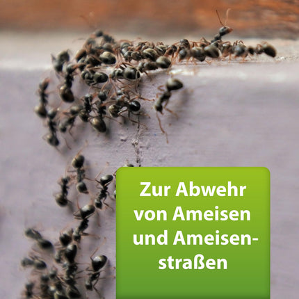ARDAP Repell Ant Spray 400ml - Ant spray for outdoors &amp; against ants in the house - Ant remedy - Ant spray for acute ant infestation - Works quickly &amp; effectively (PT19)