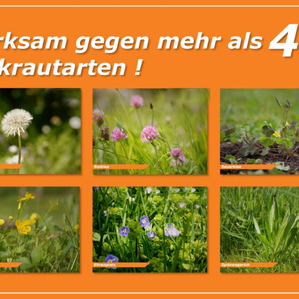Celaflor Lawn Weed Free Weedex, weed killer for controlling weeds in lawns, 400ml concentrate