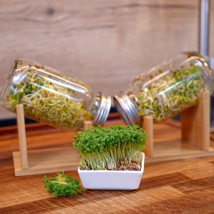 TAHLBERG sprouting jar set of 2 – high-quality sprouting jar made of bamboo + cress sieve &amp; sprouting tray – including lid, cover &amp; instructions – sprouting jar for sprouts