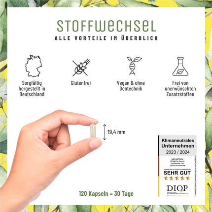 Metabolism Capsules Diet Support - High Dose with Green Tea, Forskohlii, Choline, Asparagus, Bitter Melon, Garcinia Cambogia &amp; Chromium - 120 Metabolism Capsules vegan by NATURTREU®