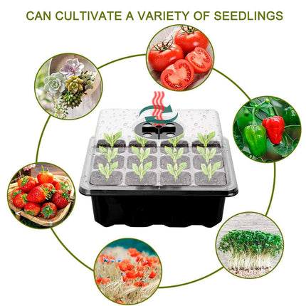 Indoor greenhouse cultivation box, 3 pieces 36 cells, mini greenhouse cultivation set, cultivation tray with cover, greenhouse plastic cultivation trays, with 2 small garden tools + 20 plant labels